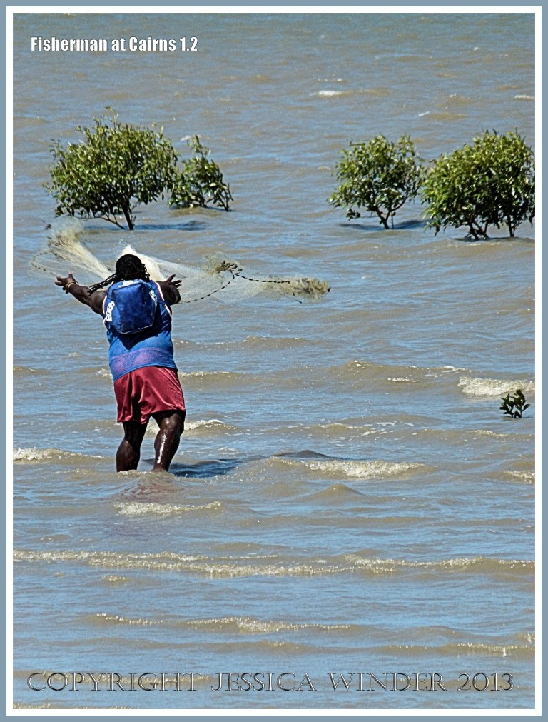 Man fishing with net at Cairns on the Queensland Coast.