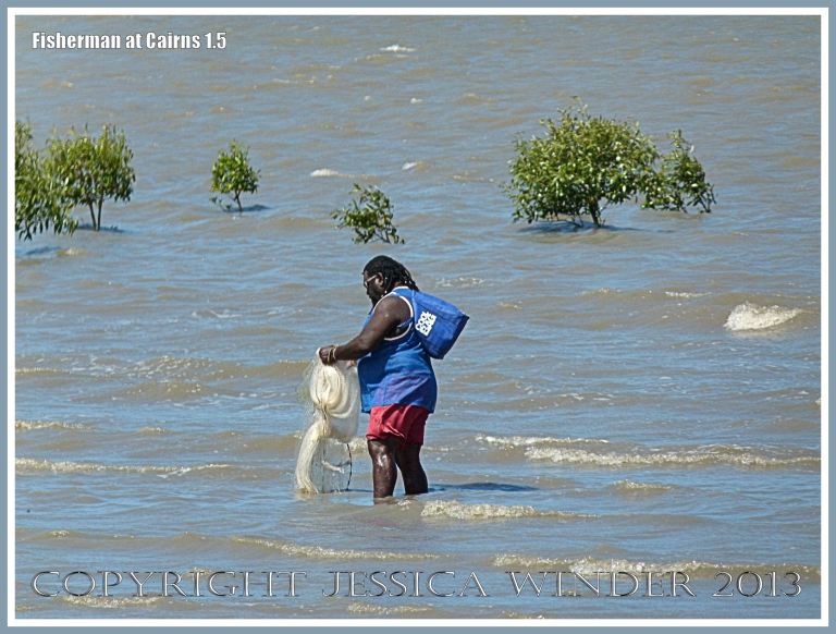Man fishing with net at Cairns on the Queensland Coast.
