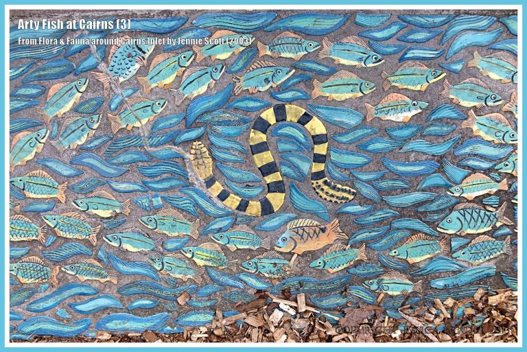 Cairns fish celebrated in ceramic art form on Cairns Esplanade pavement - fish shown with snake