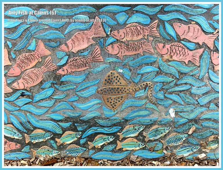 Cairns fish celebrated in ceramic art form on Cairns Esplanade pavement