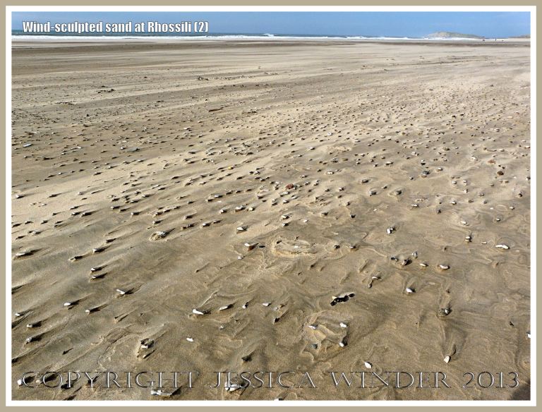 Beach surface textures carved by windblown sand