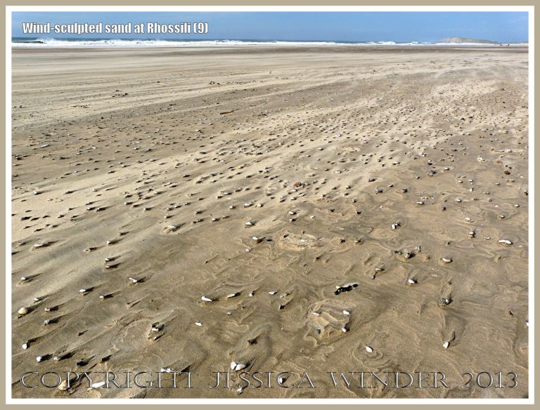 Beach surface textures carved by windblown sand