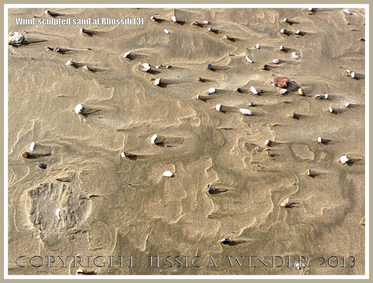 Beach surface textures carved by windblown sand