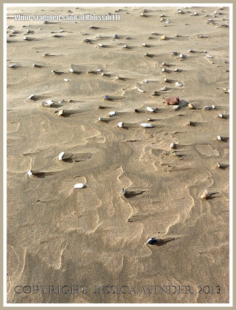 Beach surface textures carved by windblown sand