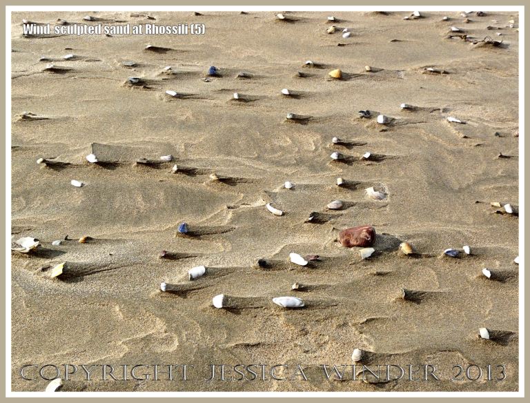 Beach surface textures carved by windblown sand
