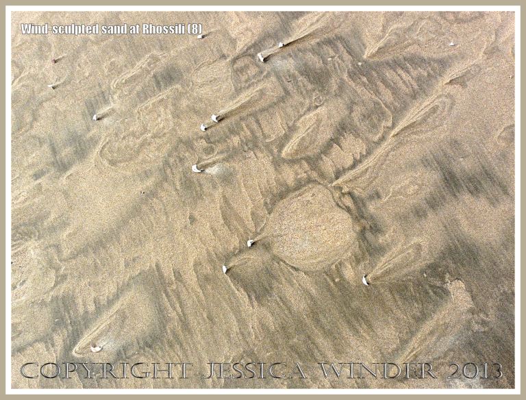 Beach surface textures carved by windblown sand