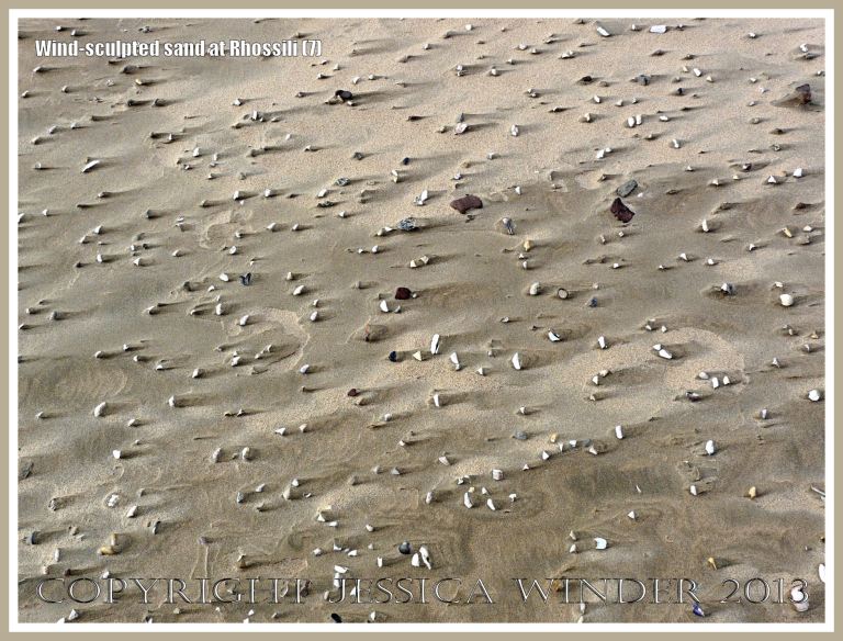 Beach surface textures carved by windblown sand