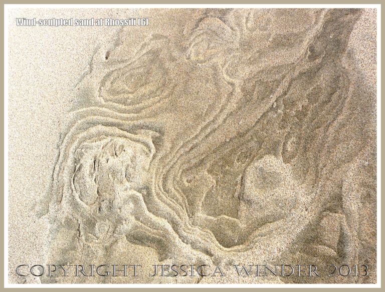 Beach surface textures carved by windblown sand