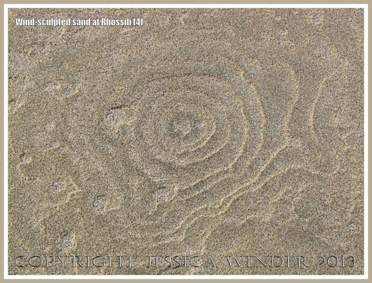 Beach surface textures carved by windblown sand