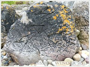 Boulders on the beach as a defence against coastal erosion