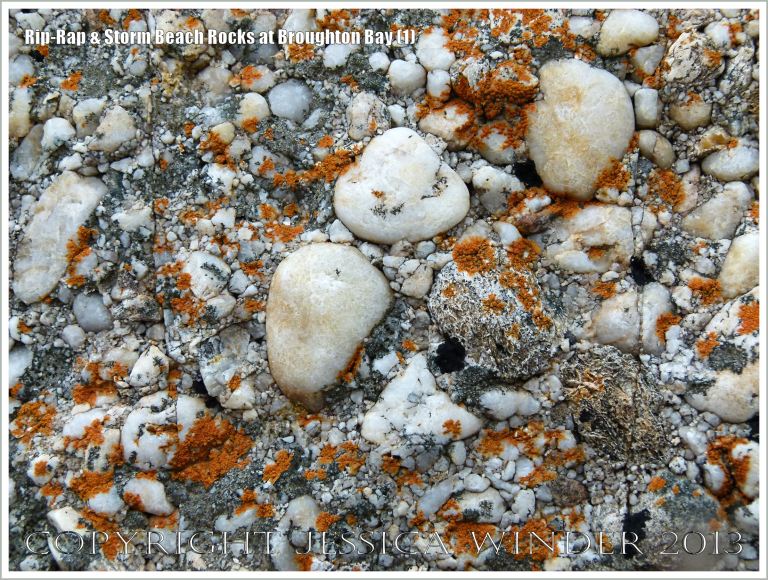 Detail of a boulder on the beach used as a defence against coastal erosion
