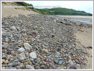 View looking west at Broughton Bay showing line of storm beach boulders and pebbles