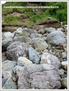 Storm beach boulders at Broughton Bay
