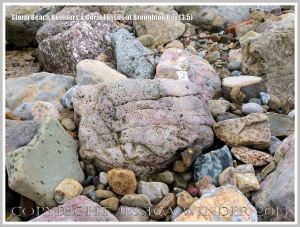 Storm beach boulders at Broughton Bay