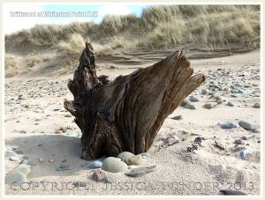Aspect of a piece of driftwood on a sandy beach with pebbles