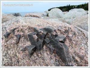 Close-up of granite rock rip-rap with xenolith at Delaps Cove