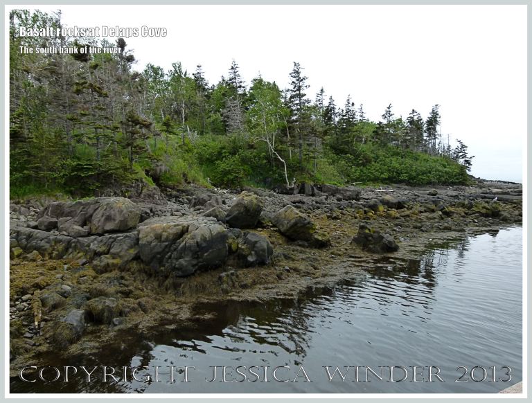 Natural basalt outcrops on the south bank of the river at Delaps Cove