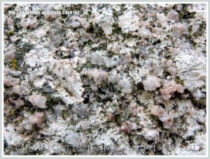 Close-up of granite rock rip-rap at Delaps Cove