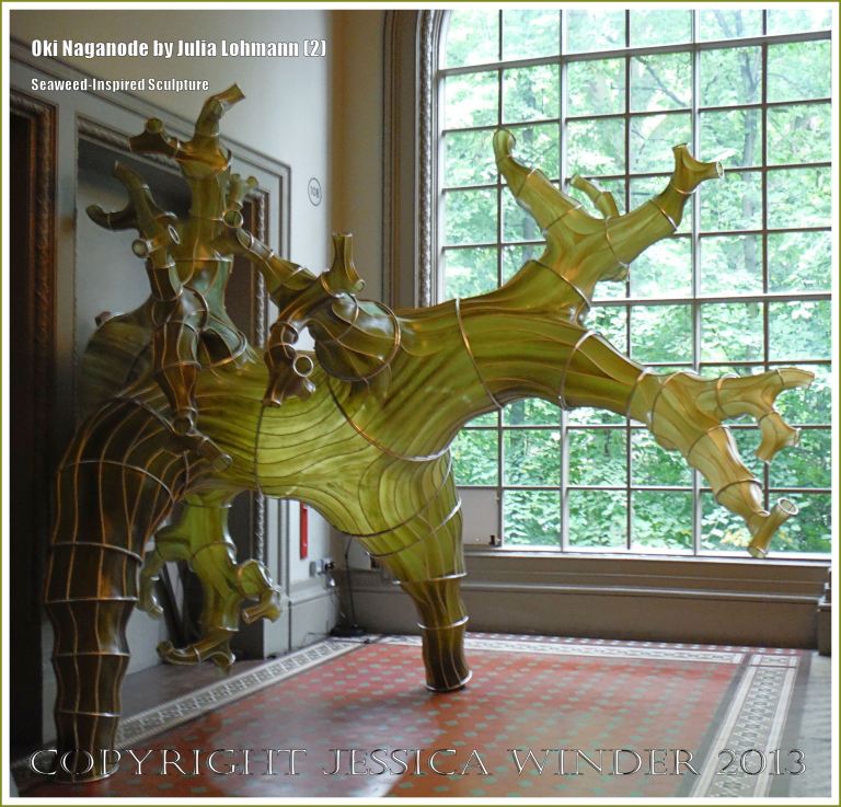 "Oki Naganode" an installation made from seaweed by Julia Lohmann at the V&A