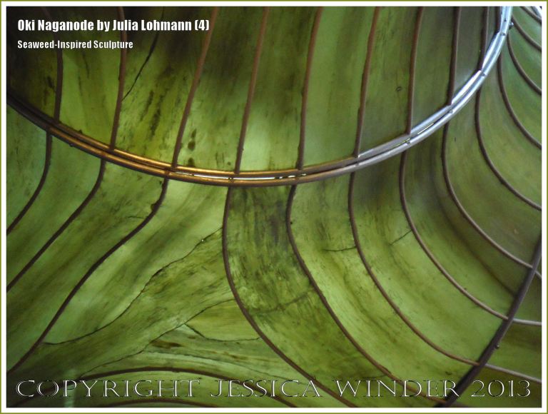 "Oki Naganode" an installation made from seaweed by Julia Lohmann at the V&A