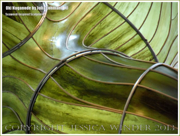 "Oki Naganode" an installation made from seaweed by Julia Lohmann at the V&A