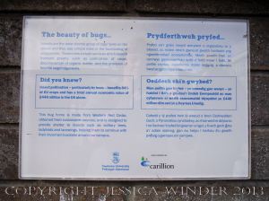 Label on an artificial habitat for encouraging insect biodiversity on the Swansea University campus