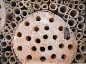 Artificial habitat for encouraging insect biodiversity and conservation