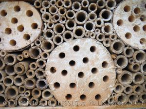 Artificial habitat for encouraging insect biodiversity and conservation