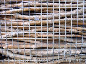 Artificial habitat for encouraging insect biodiversity and conservation