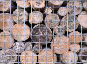 Artificial habitat for encouraging insect biodiversity and conservation.