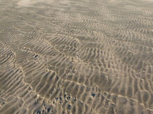 Sand ripple patterns on the beach
