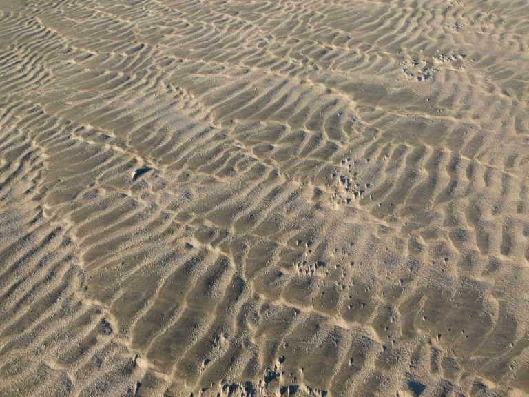 Sand ripple patterns on the beach