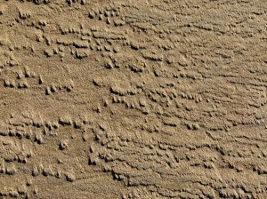 Patterns and textures created on the seashore by wind-blown sand