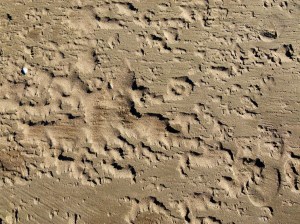 Patterns and textures created on the seashore by wind-blown sand