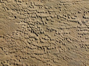 Patterns and textures created on the seashore by wind-blown sand