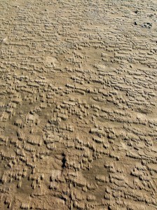 Patterns and textures created on the seashore by wind-blown sand