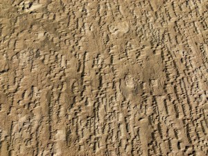 Patterns and textures created on the seashore by wind-blown sand