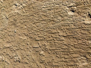 Patterns and textures created on the seashore by wind-blown sand