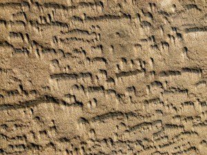 Patterns and textures created on the seashore by wind-blown sand