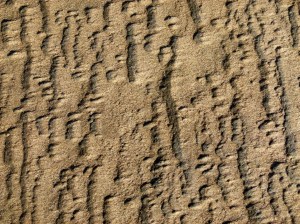 Patterns and textures created on the seashore by wind-blown sand