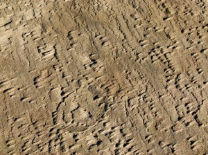 Patterns and textures created on the seashore by wind-blown sand