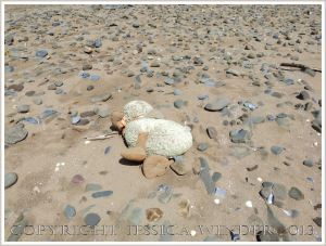 Lost soft toy duck on the beach