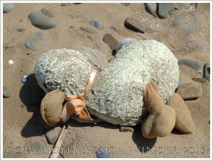 Lost soft toy duck on the beach