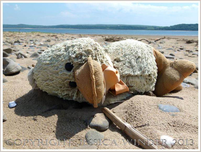 Lost soft toy duck on the beach