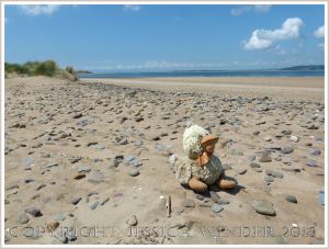 Lost soft toy duck on the beach