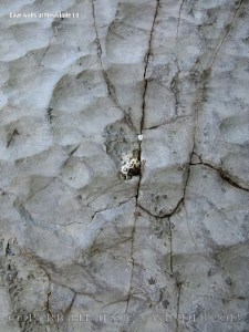 Surface pattern and texture on the wall at the mouth of a cave at Mewslade Bay