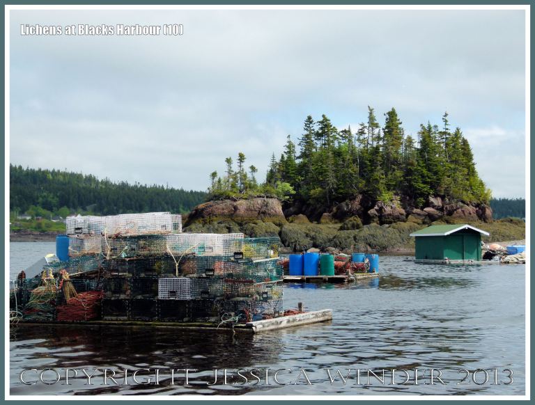 View at Blacks Harbour, New Brunswick, Canada