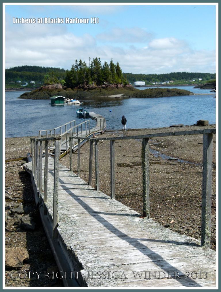 Old wooden walkway pontoon across the beach at Blacks Harbour, New Brunswick, Canada.