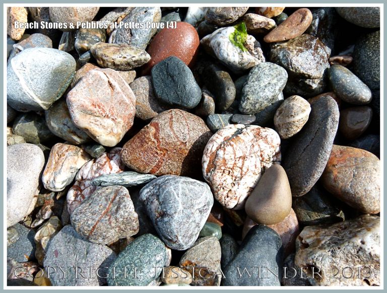 Pebbles and beach stones on Grand Manan Island