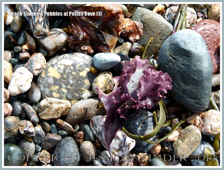 Pebbles and beach stones on Grand Manan Island